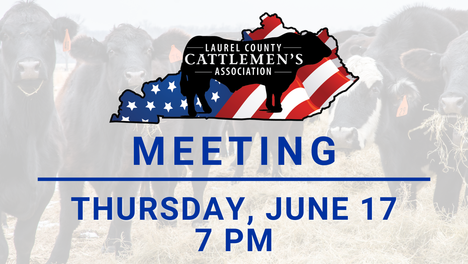 Meeting June 17